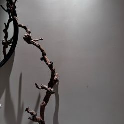 -洛伊科技抗衰护肤中心