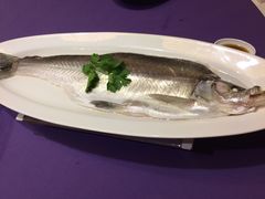 清蒸白水鱼-张福记(陇海中路店)