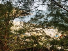 -广东惠东海龟国家级自然保护区