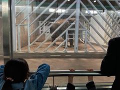 -大青山野生动物园