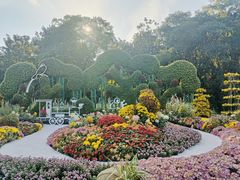 -上海共青森林公园