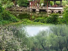 -墅园