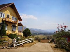 -黄色小屋