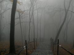 -帽儿山风景区