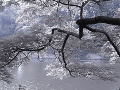 -东山湖公园