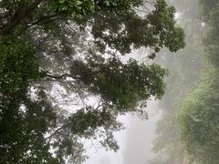 -窦圌山风景区