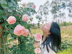 -三圣花乡旅游区