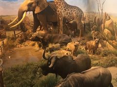 -陕西自然博物馆