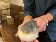 -肆月河豚·新淮扬(金融街店)