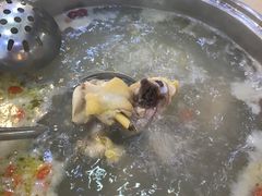 -新招鲜本地鸡窝(平凉路店)