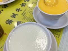 蛋白炖鲜牛奶-澳洲牛奶公司(佐敦店)