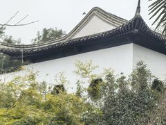 -伯先公园