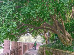 -成都市活水公园