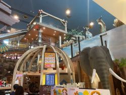 -卡通尼·Safari非洲探索乐园·生日会(金桥国际商业广场店)