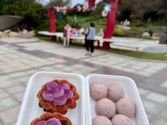-東更道点心行(崂山丽达店)