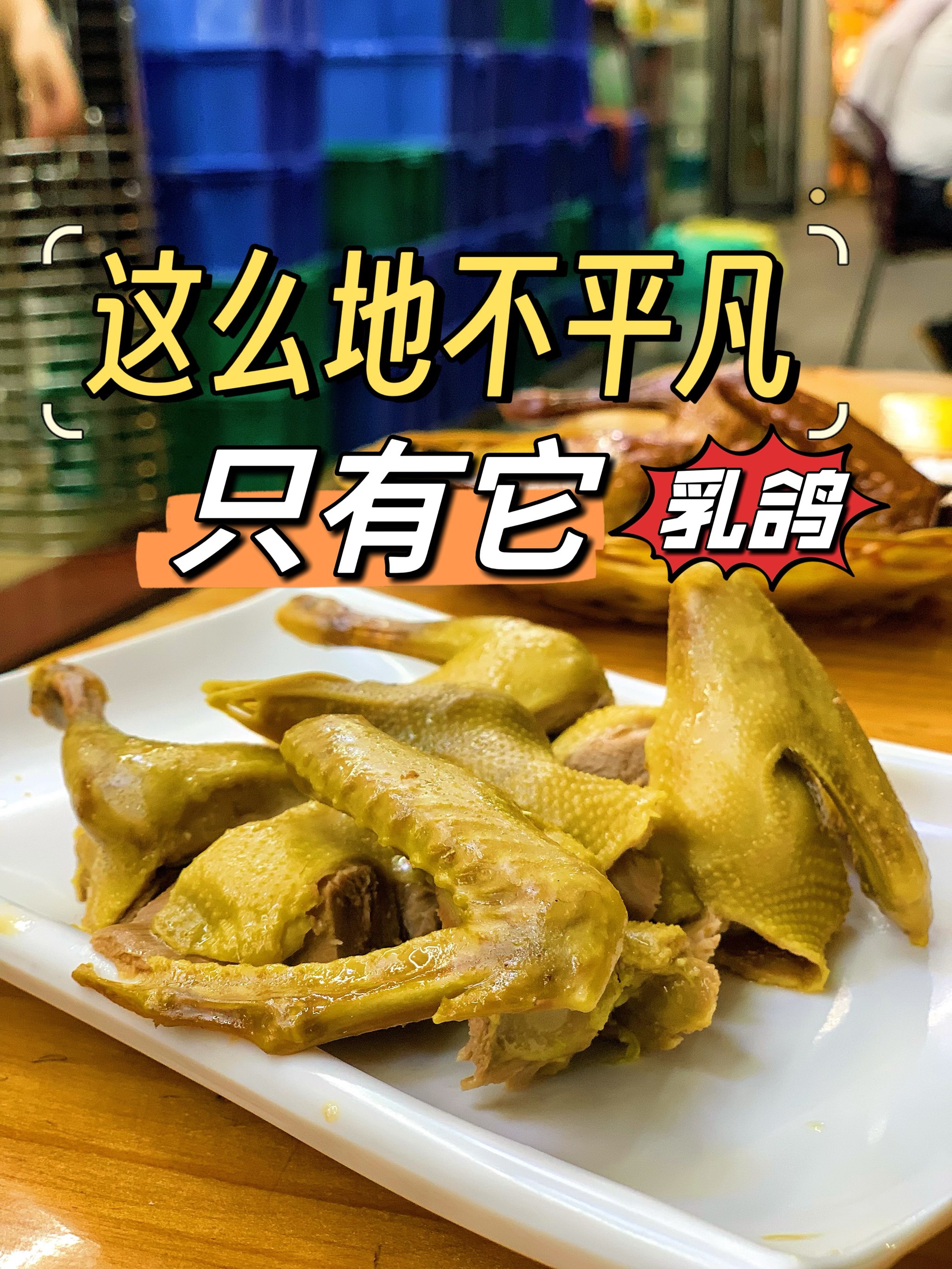 关于鸽子的创意菜名图片