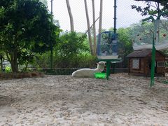 -南宁荔园维景国际酒店·荔园中餐厅