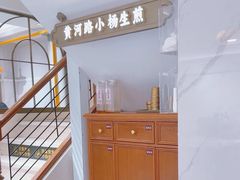 -小杨生煎(黄河路店)