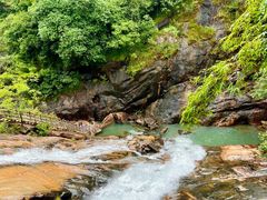 -广州白江湖森林公园