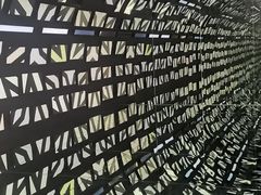 -安徽广播电视台