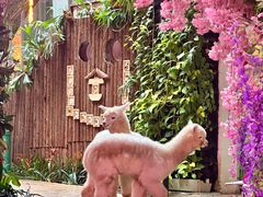 -正佳雨林生态植物园