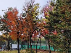 -回龙观体育文化公园