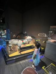 -未来动物城主题公园(正弘城店)