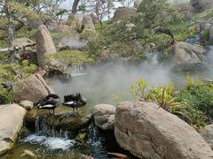 -罗红摄影艺术馆