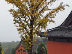 -穹窿山景区