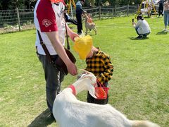 -前小桔亲子创意农场·草莓采摘·露营烧烤