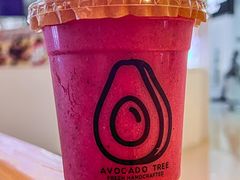 -油梨树AVOCADO TREE(嘉里中心店)