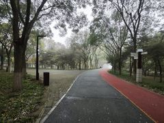 -大兴滨河森林公园