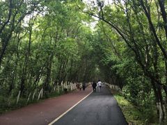 -艾溪湖湿地公园