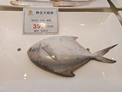 -宁波石浦大饭店(新材料城店)