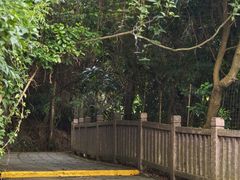 -清溪大王山森林公园