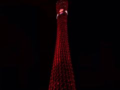 -珠江夜游省总码头