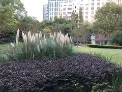 -徐家汇源景区-衡山公园
