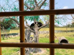 -野生动物园-停车场