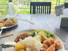 -清迈丛林飞跃 JungleFlight