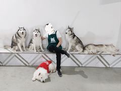 -星多哈·狗咖·拼豆·咖啡