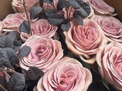 -亭亭鲜花店(中山北路店)