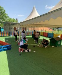 -萌宠亲子动物乐园(槐房万达店)