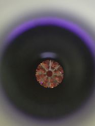 -威德钻石-克拉钻大本营(南京东路店)