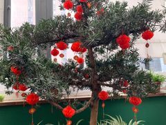 -滇铺子(欣都龙城店)