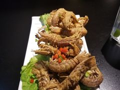 -西街夜油条·麻团包乌饭