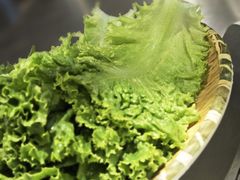 生菜-小财盆地桌烤肉