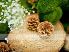 上海浪漫爱都婚礼策划-上海富豪东亚酒店(零陵路店)