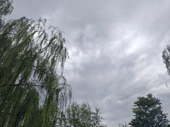 -绿堤公园