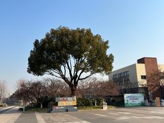 -青枫公园