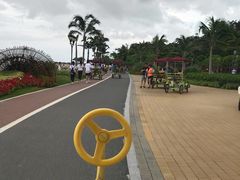 -野狸岛